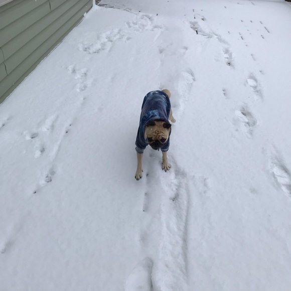 Meet your Posher, Selah - Picture 5 of 12